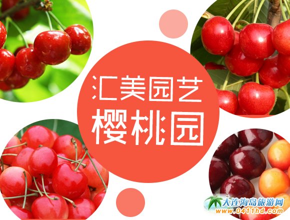 大連旅順匯美園藝櫻桃采摘園
