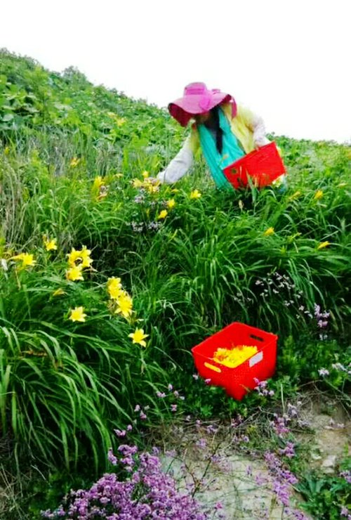 点击看大图 獐子島漁家樂