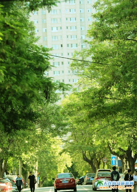 2019大連賞槐會