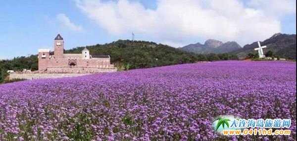 2021國家文旅部(原旅游局)對旅行社扶持政策